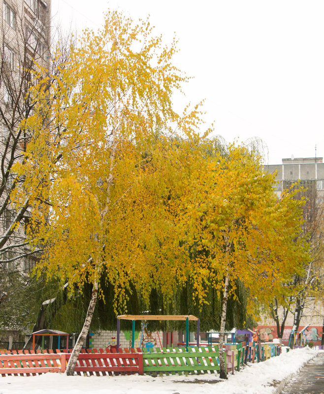 листья жёлтые - Владимир Зырянов