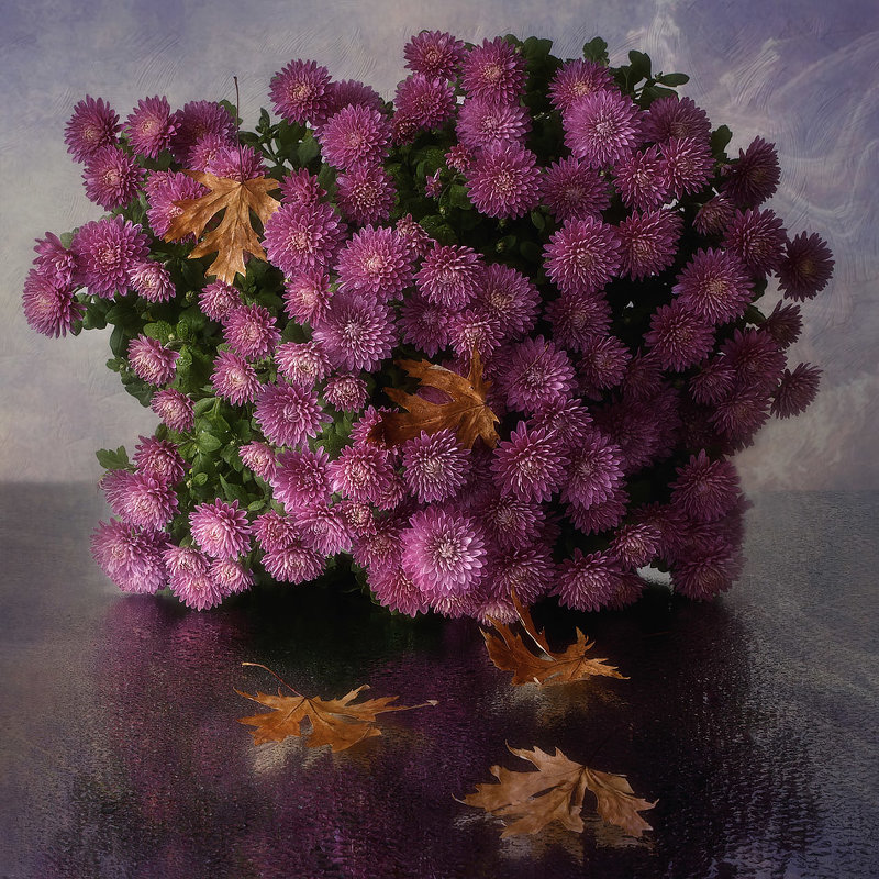 Осенние хризантемы - Ирина Приходько