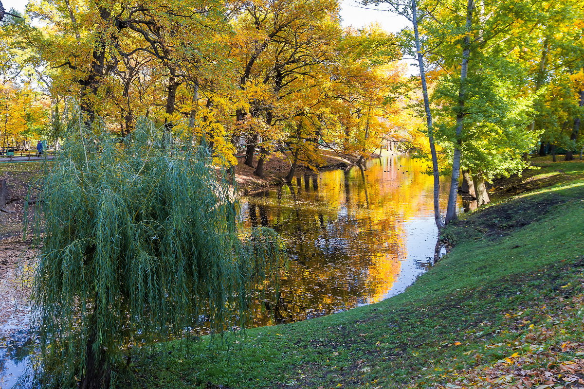 Осень в парке - Cтанислав Анатольевич Курбатов