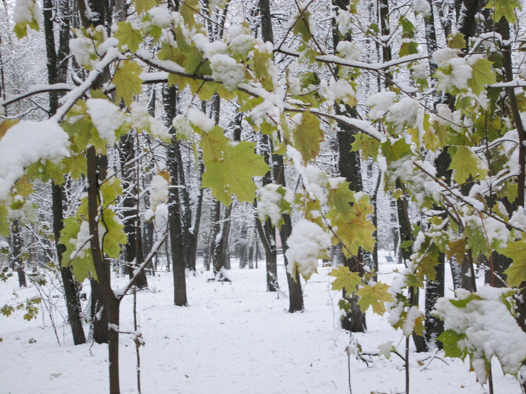 *** - Валентина Береснева