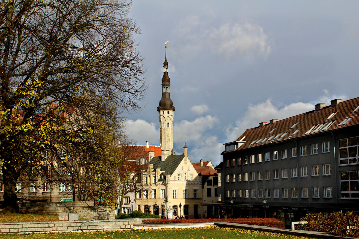 Tallinn cо старым Томасом на шпиле - Marina Pavlova