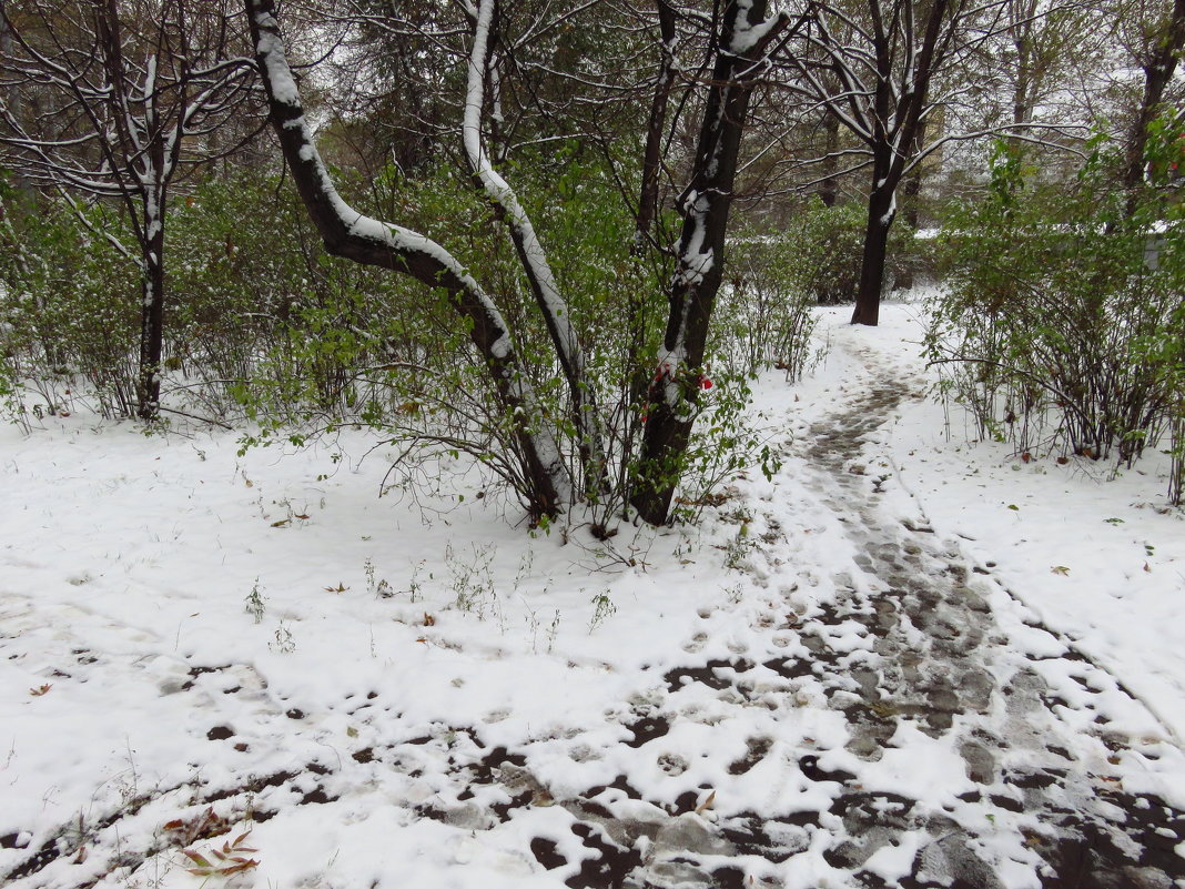 Помню, больше всего в детстве радовал первый снег - Андрей Лукьянов