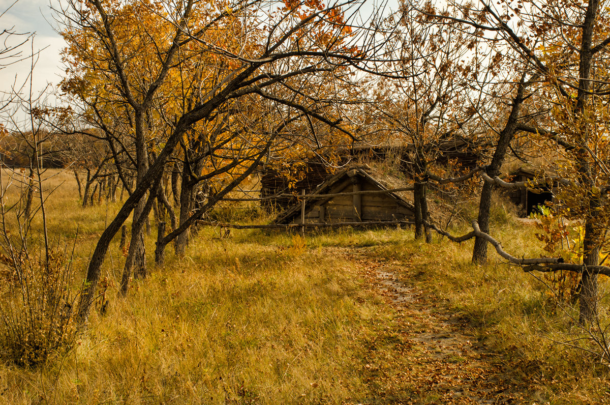 Осень в деревне - Лариса Березуцкая