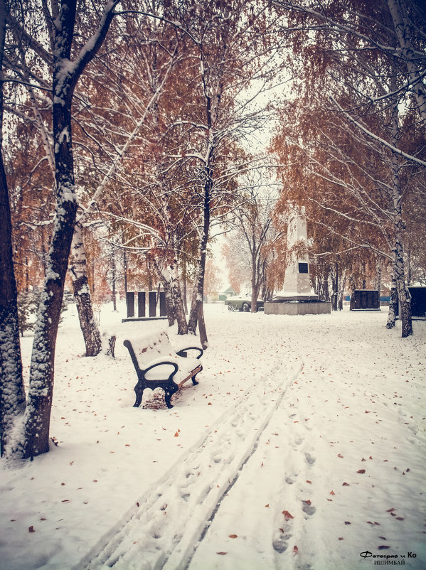 Снег в парке 2 - Вячеслав Баширов