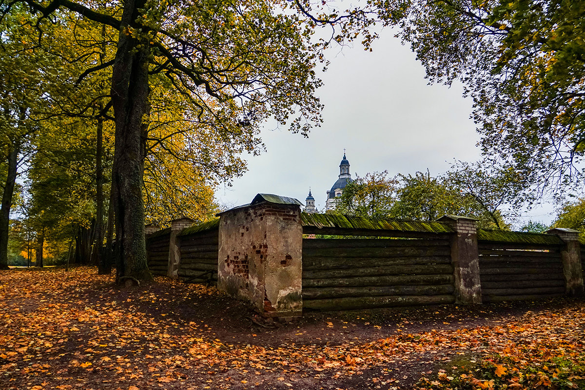 Фото осень 3 - Genych Bartkus