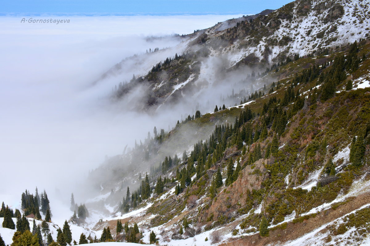 Туман преображает горные склоны, делает их таинственными, загадочными... - Anna Gornostayeva