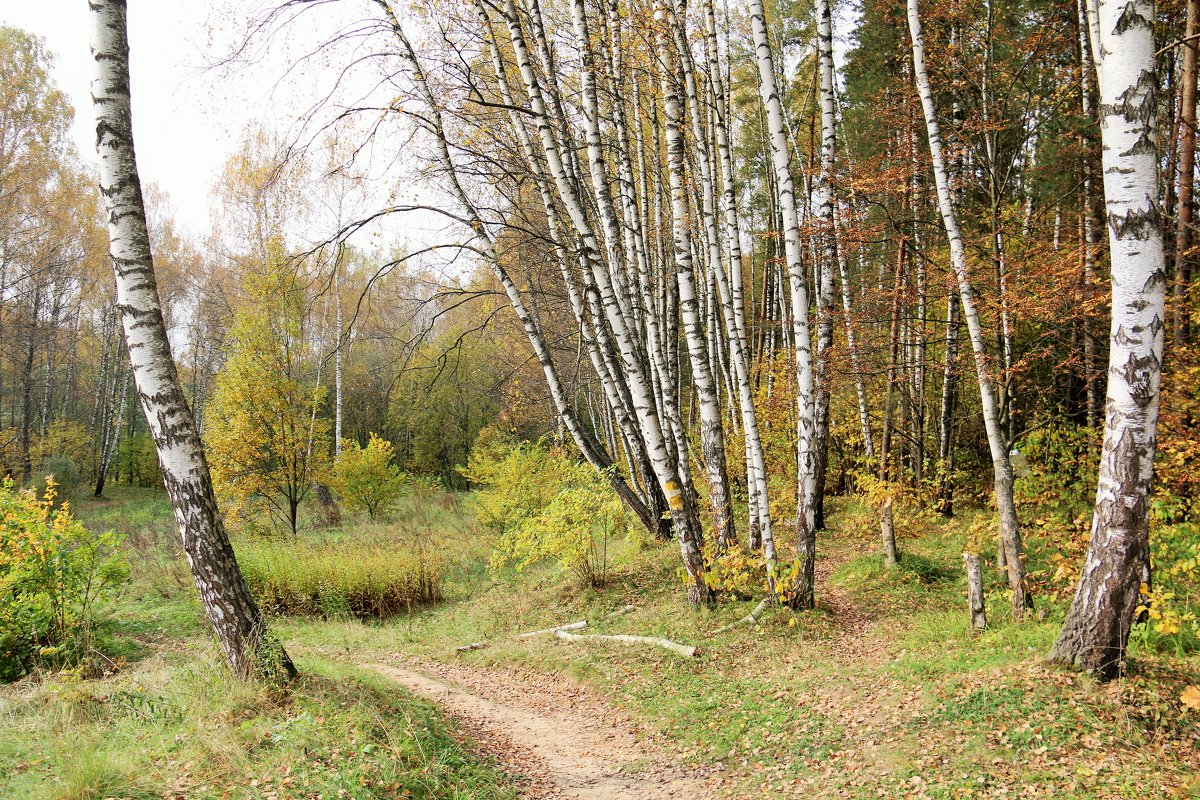 Осень - Владимир Холодницкий