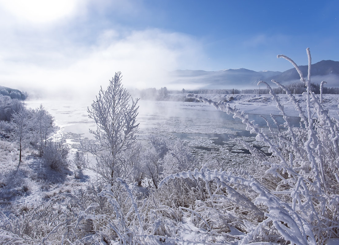 Морозное утро над Катунью - Оксана Арискина
