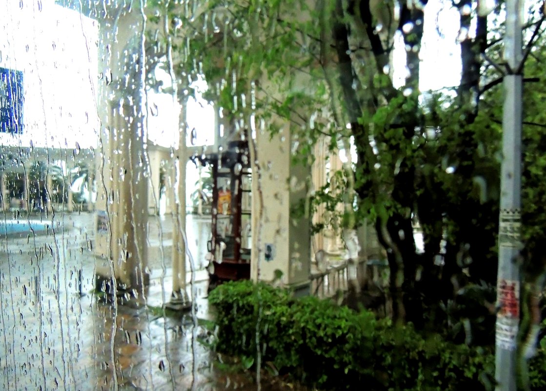 Абхазия прекрасна даже под дождем...Я еду посмотреть её величие природы - Елена Ом