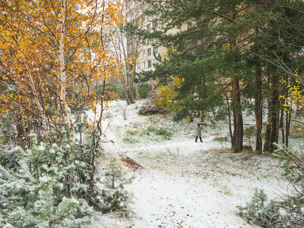 Снег в октябре 17 - Виталий 