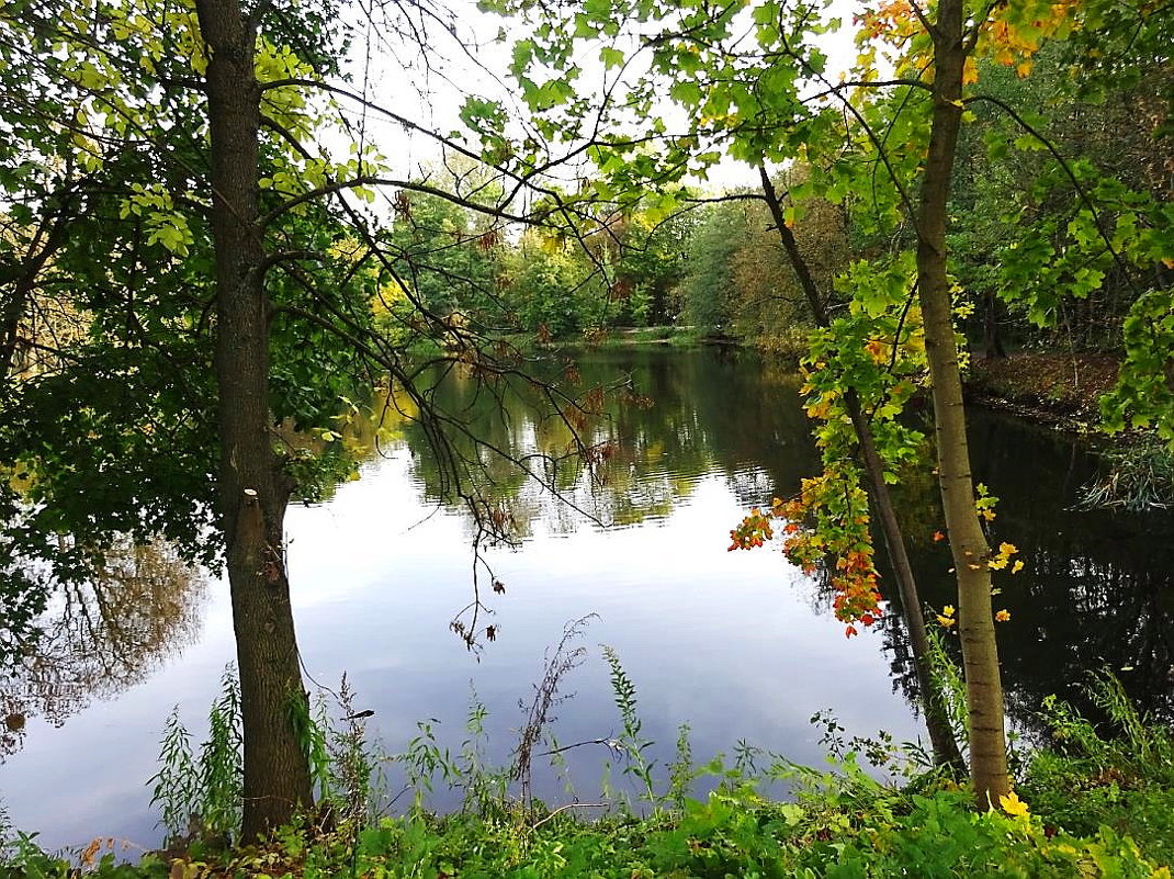 Вид на парковое озеро в середине октября - Маргарита Батырева