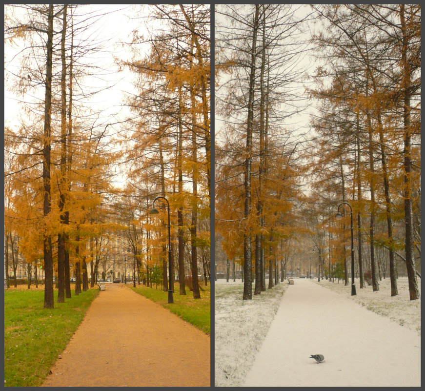 Осень-зима в два дня - Galina Belugina