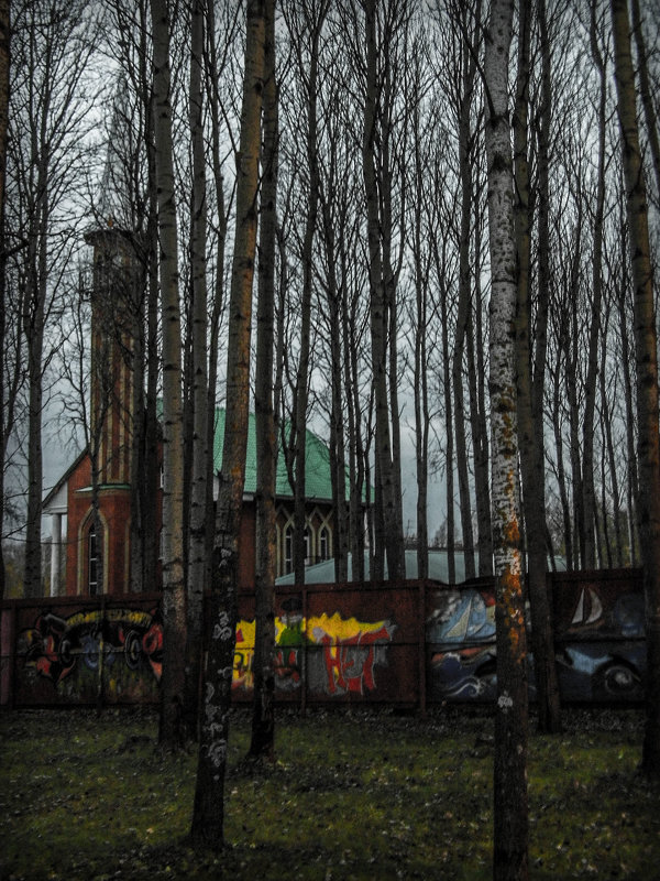 в осеннем парке - Юлия Денискина