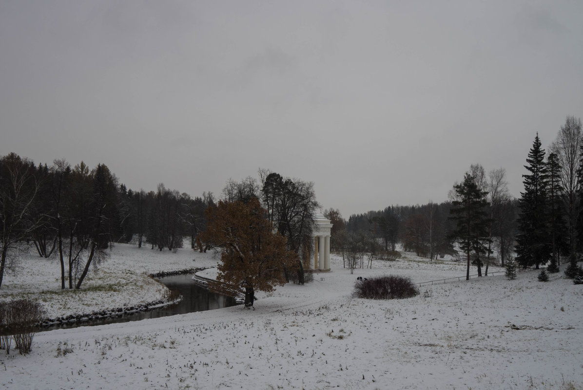 Первый снег в Павловском парке - Vadim Odintsov