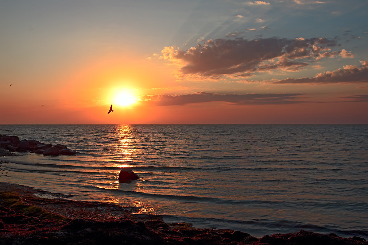 Рассвет на Азовском море в городе Геническ - Александр 