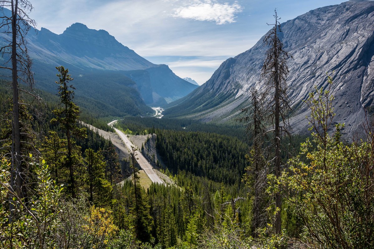 Icefields parkway - Константин Шабалин