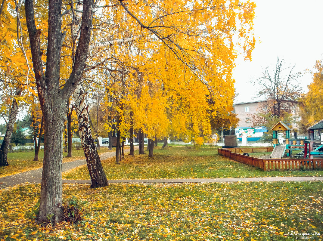 Осенний парк - Вячеслав Баширов