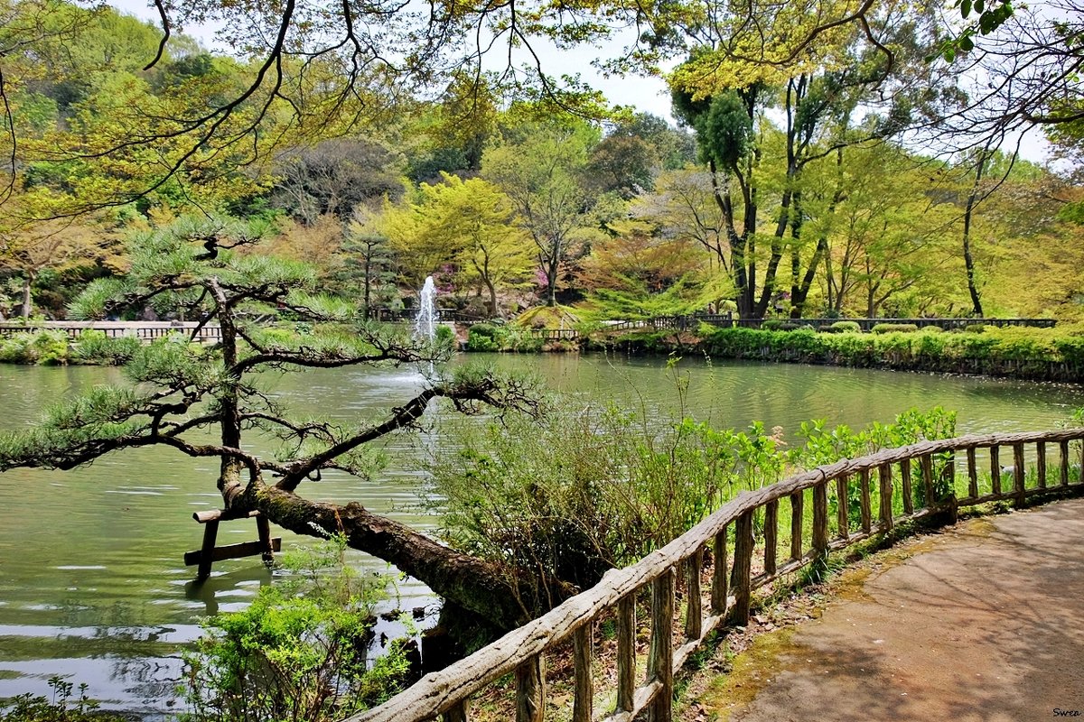 Нагоя ботанический сад Higashiyama - wea *