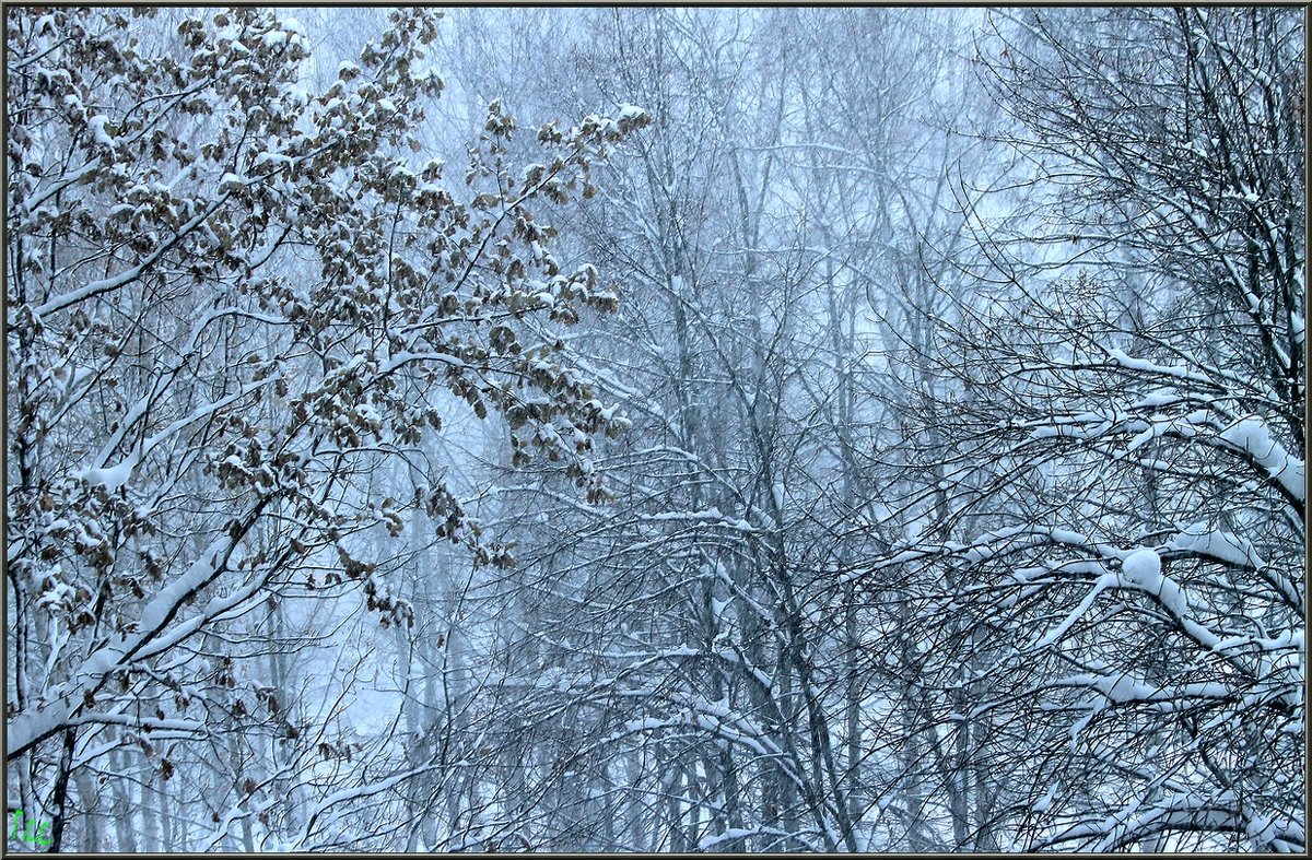 Погода... - Сергей Гончаров