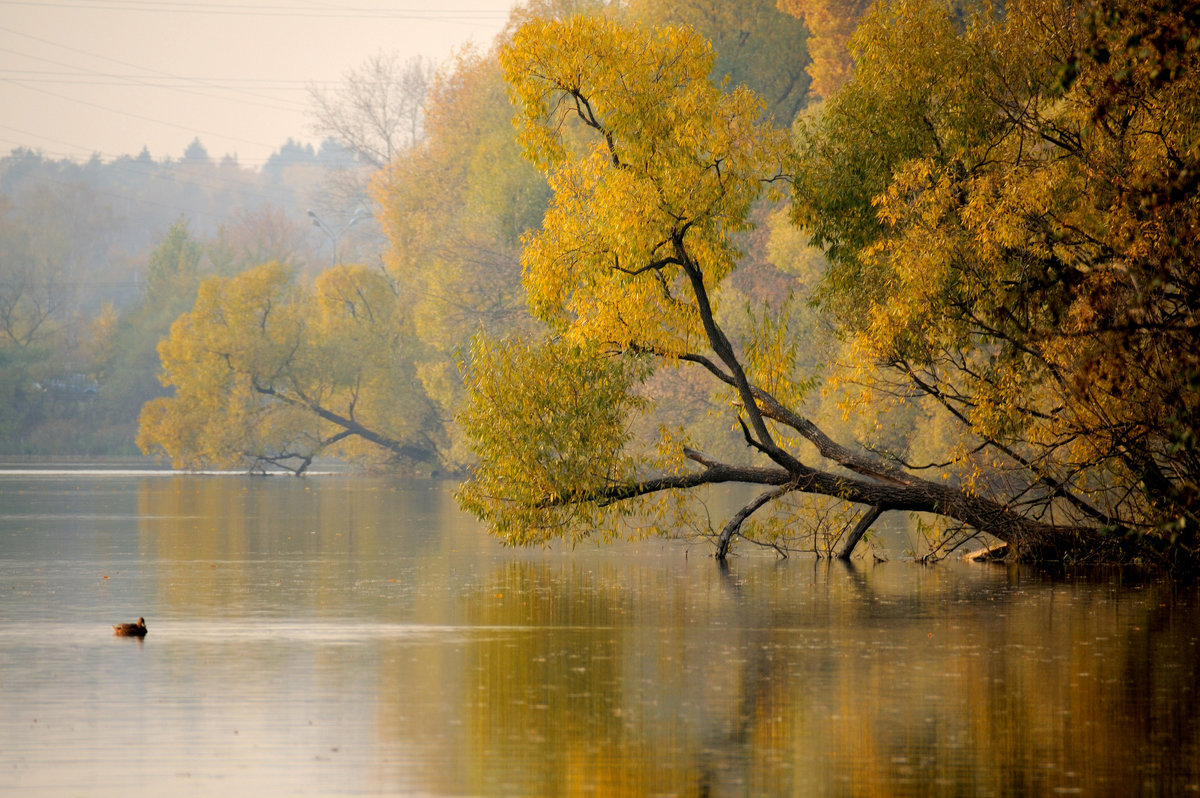Река Кубань осенью