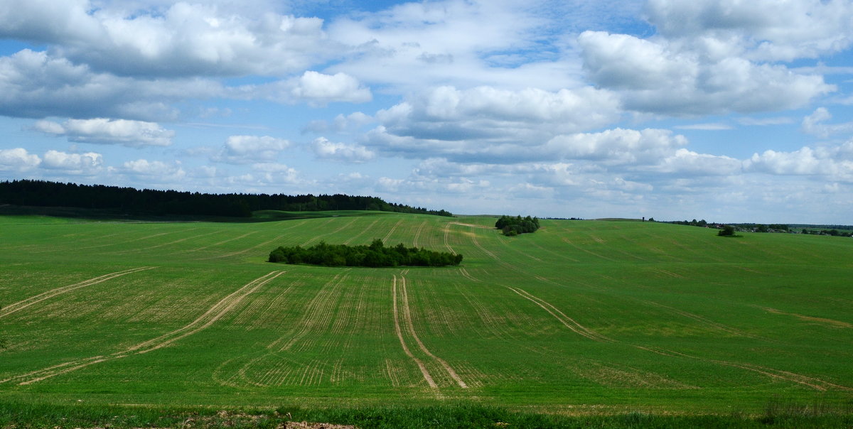 Белорусское поле (или  вид из амбразуры дота) - евген03 Левкович
