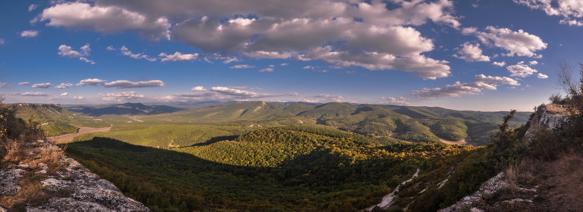 Панорама - Яна Иньская