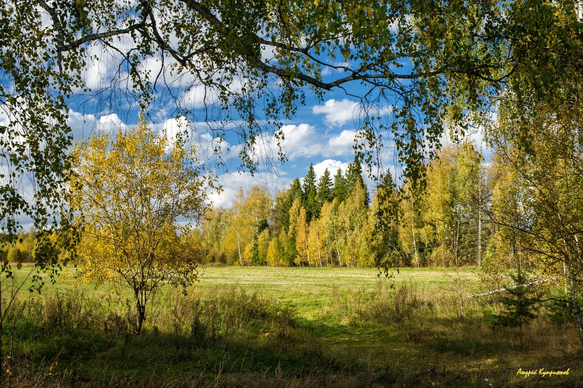 Художник - осень. - Андрей Куприянов