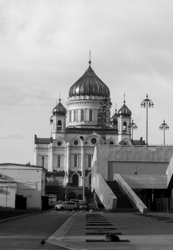 В Москве - Ольга Лапшина