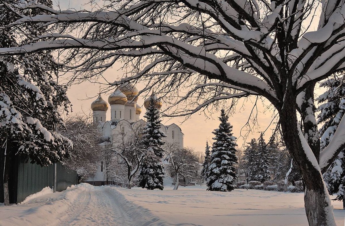 В конце зимнего дня - Николай Белавин