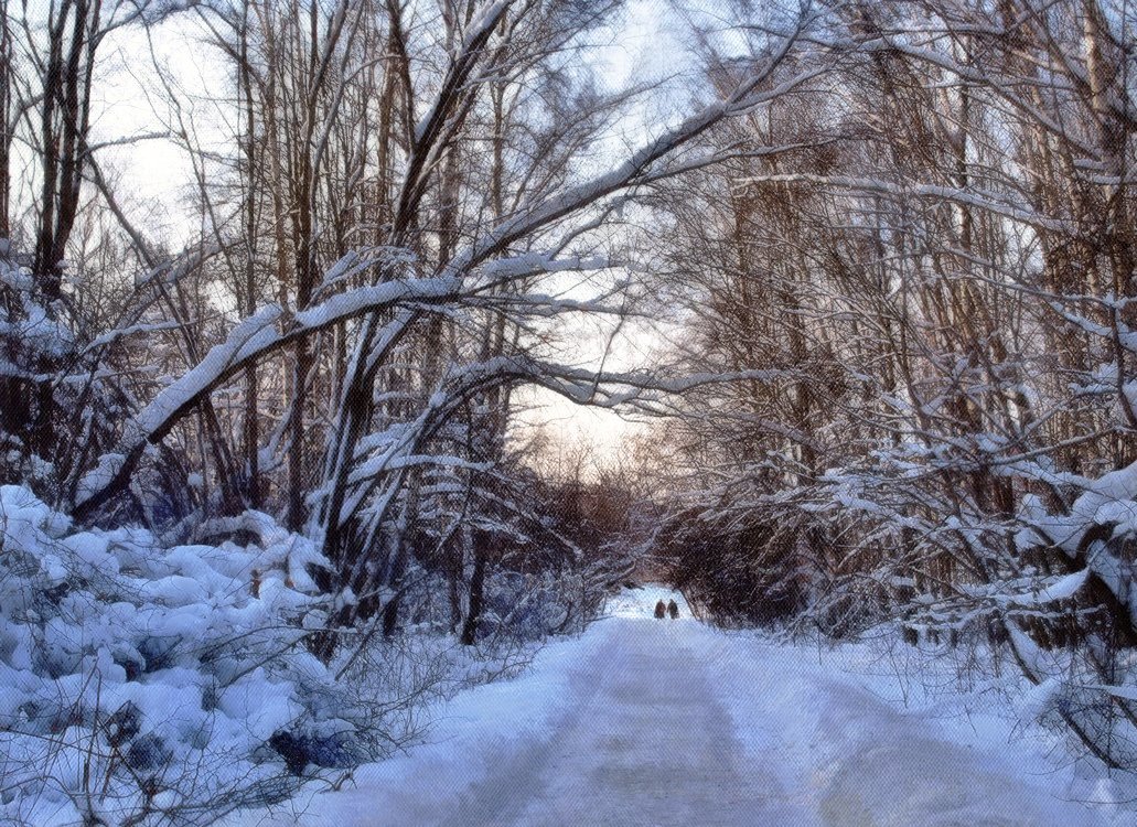 В зимнем лесу - анна нестерова