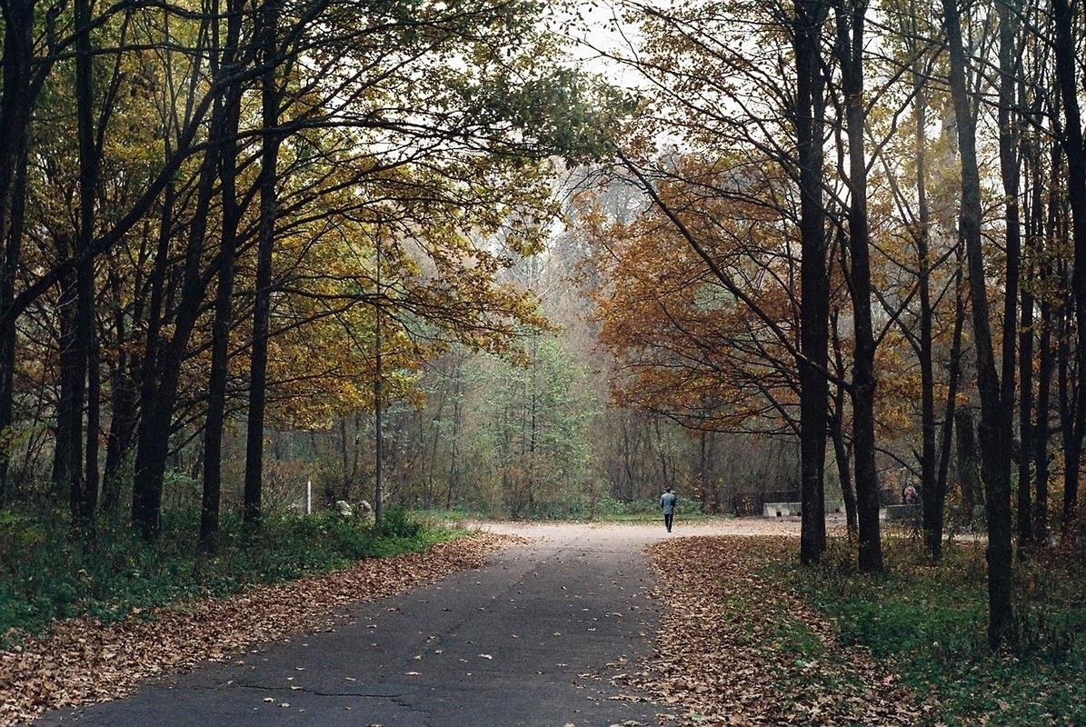 Осень в парке - Сергей Тарабара