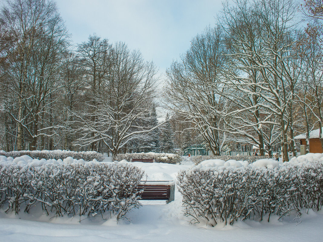 Снежный ноябрь 3 - Виталий 