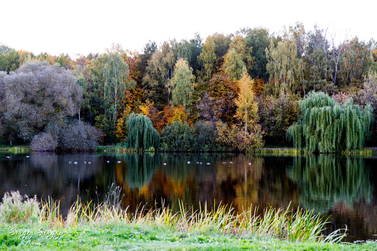 Autumn&#39;s colors - Sergey Sergaj