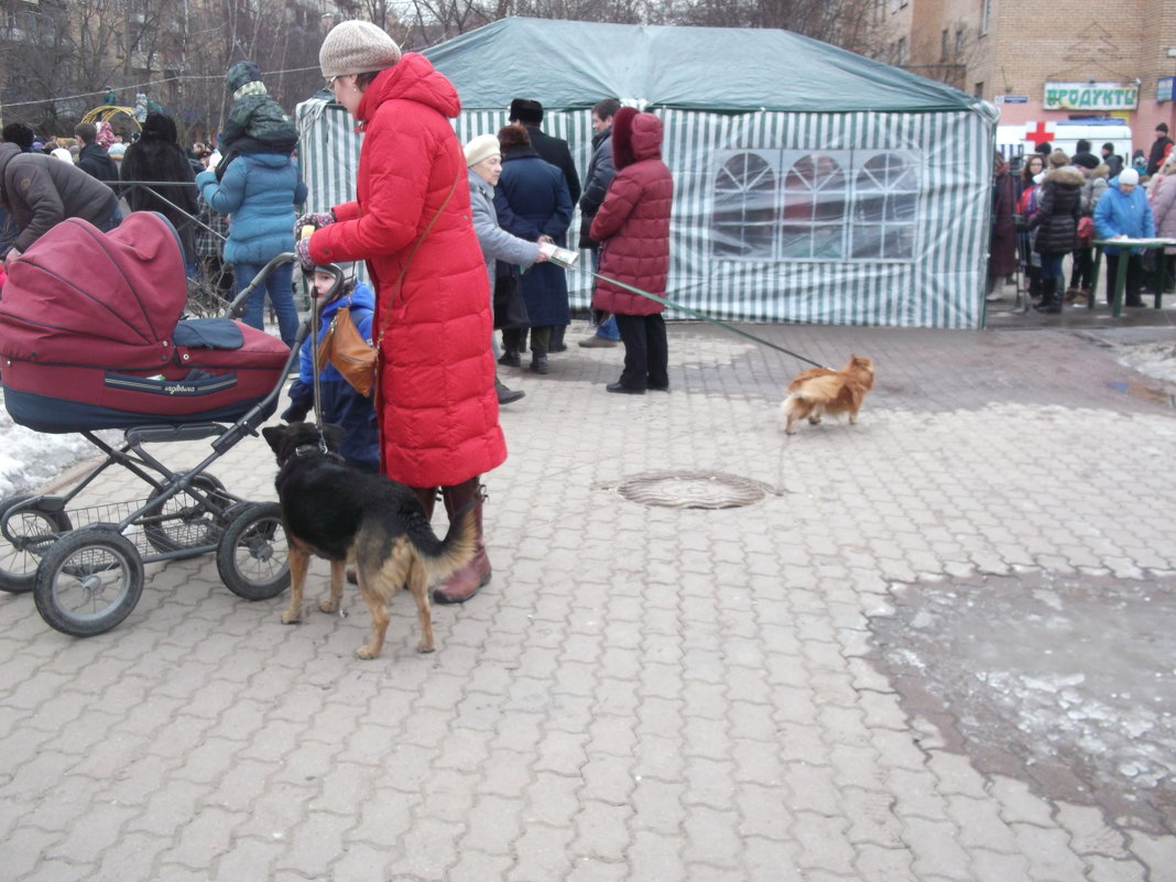 На городской площадке - Svetlana Lyaxovich