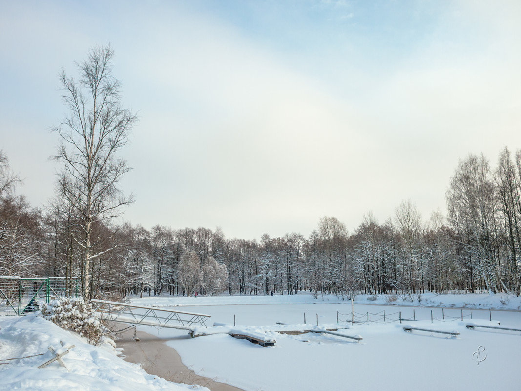 Снежный ноябрь 6 - Виталий 
