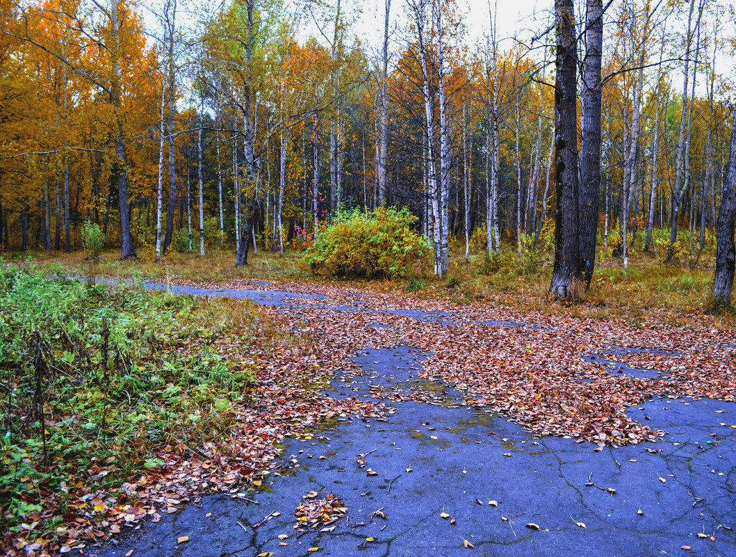 В парке - Наталья Копылова