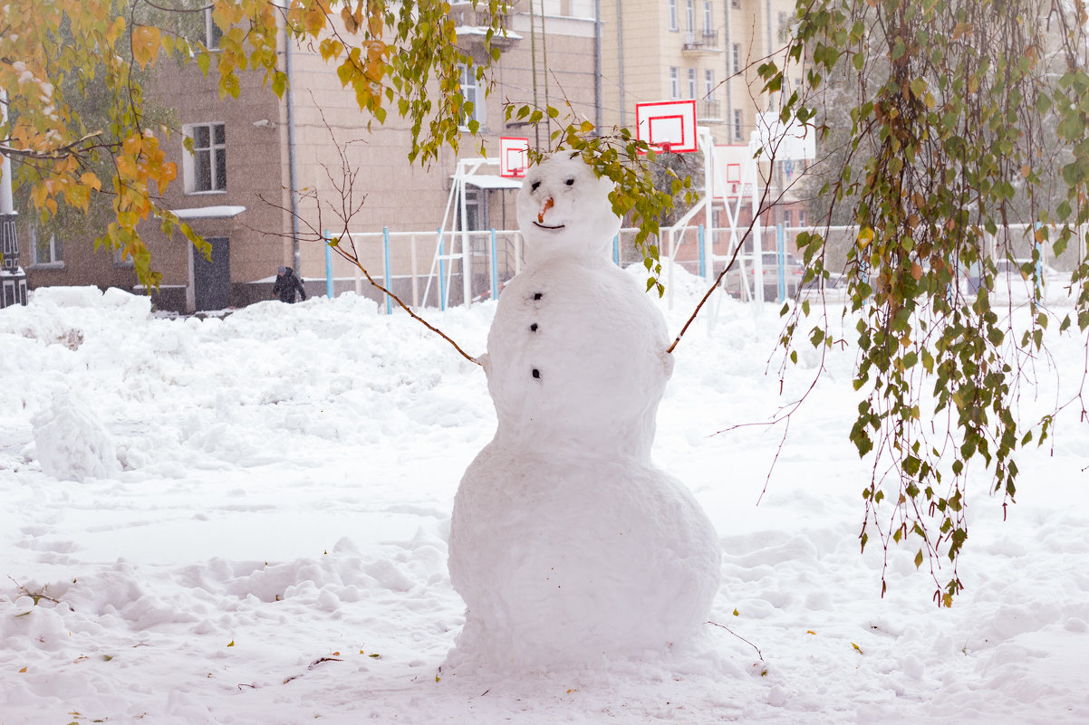 snowman - Екатерина Белка