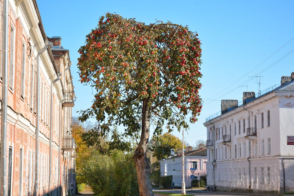 По старым новгородским улочкам (этюд 2) - Константин Жирнов