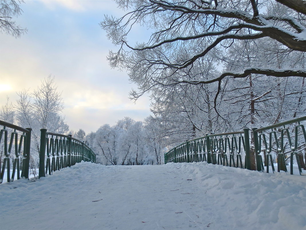 зимний мостик - Елена 