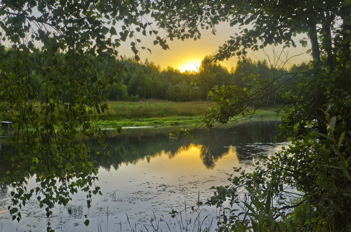 *** - Александр Березуцкий (nevant60)