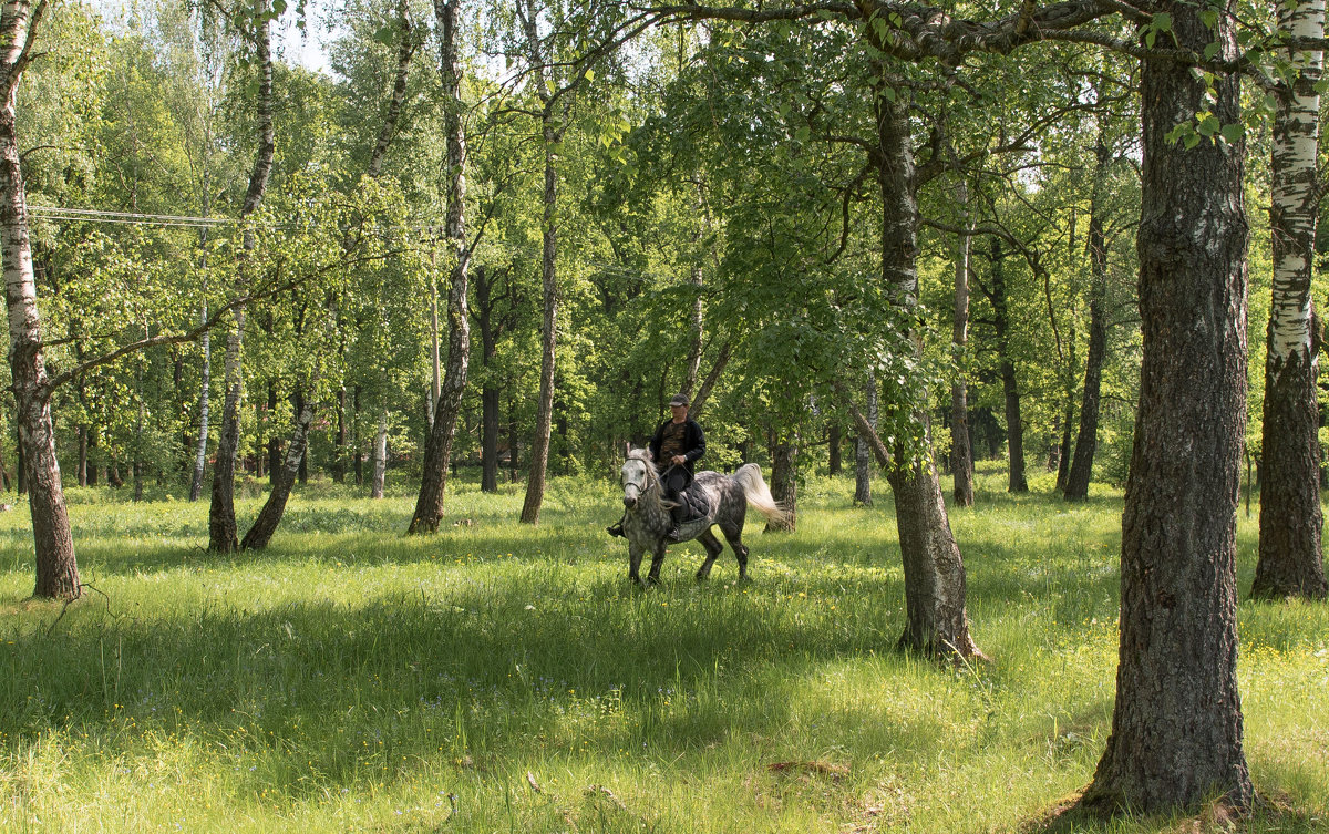 Красивое место, красивая лошадь - всё, что нужно для красивого отдыха - Владимир Безбородов