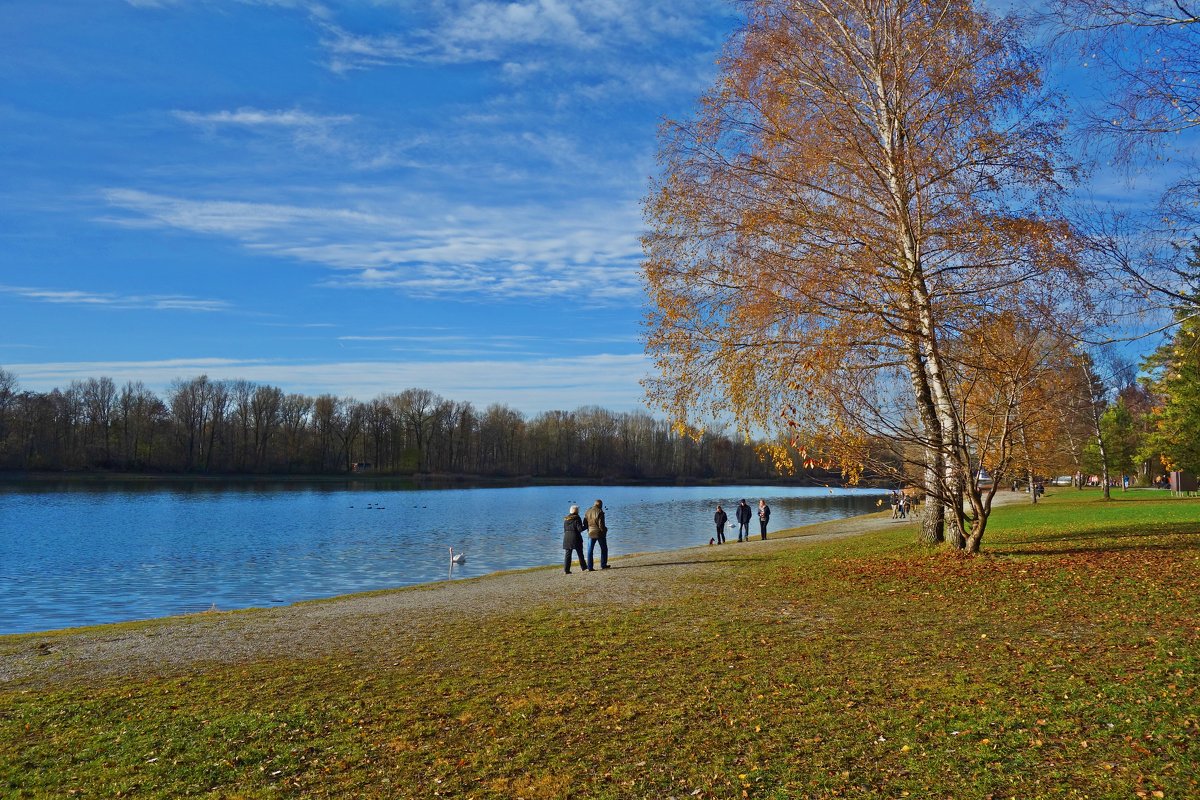 Солнечный ноябрьский денёк на озере... - Galina Dzubina