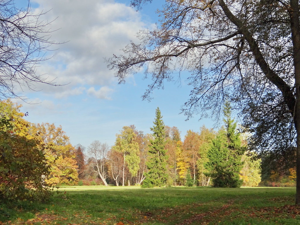 Осень в Павловском парке - Алексей Цветков