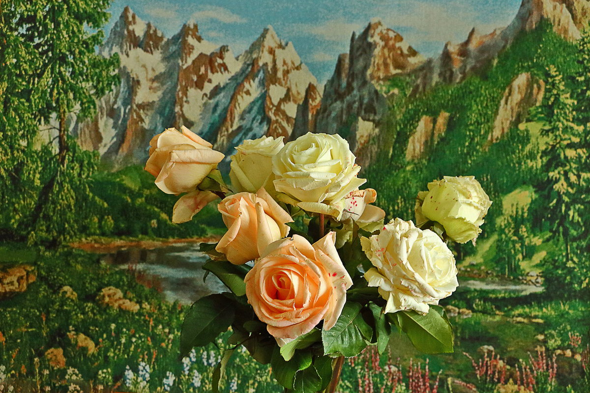 Букет осенних роз на фоне горного пейзажа - Светлана 