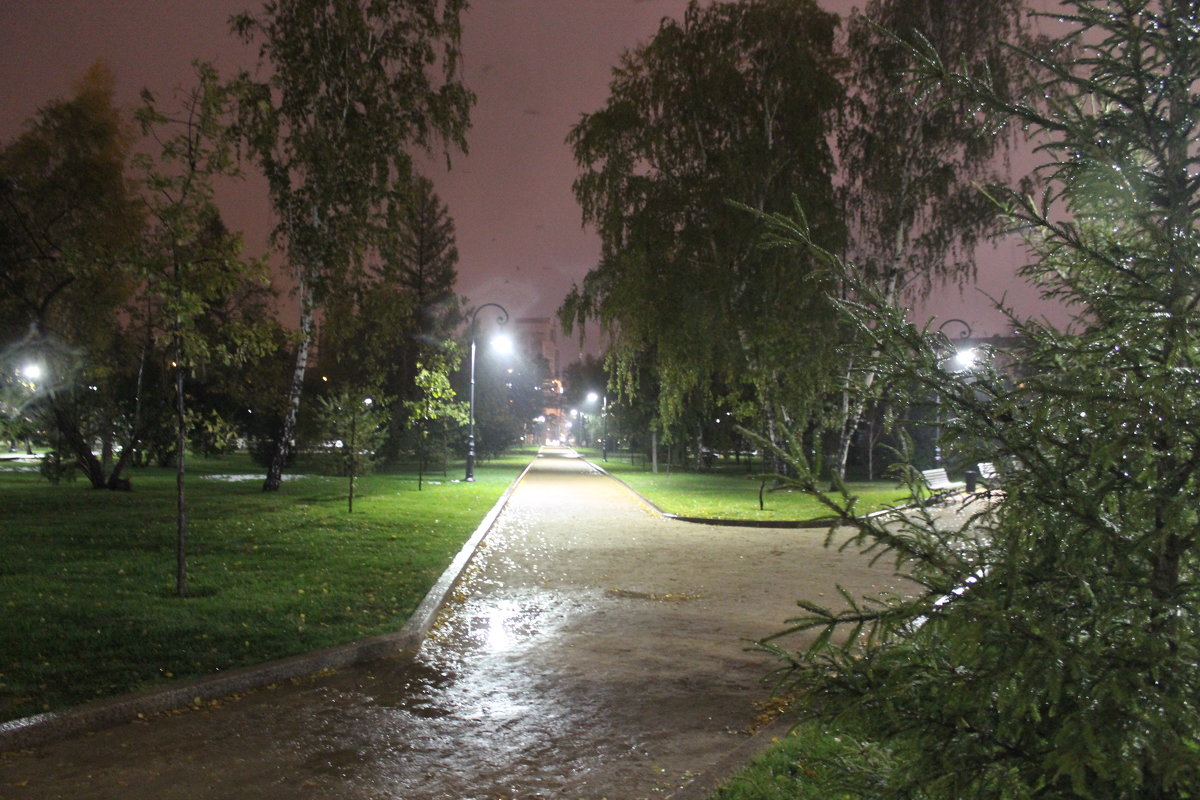 В парке осень - Гулько Т