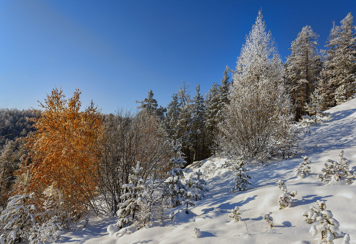 Осень и зима - vladimir Bormotov