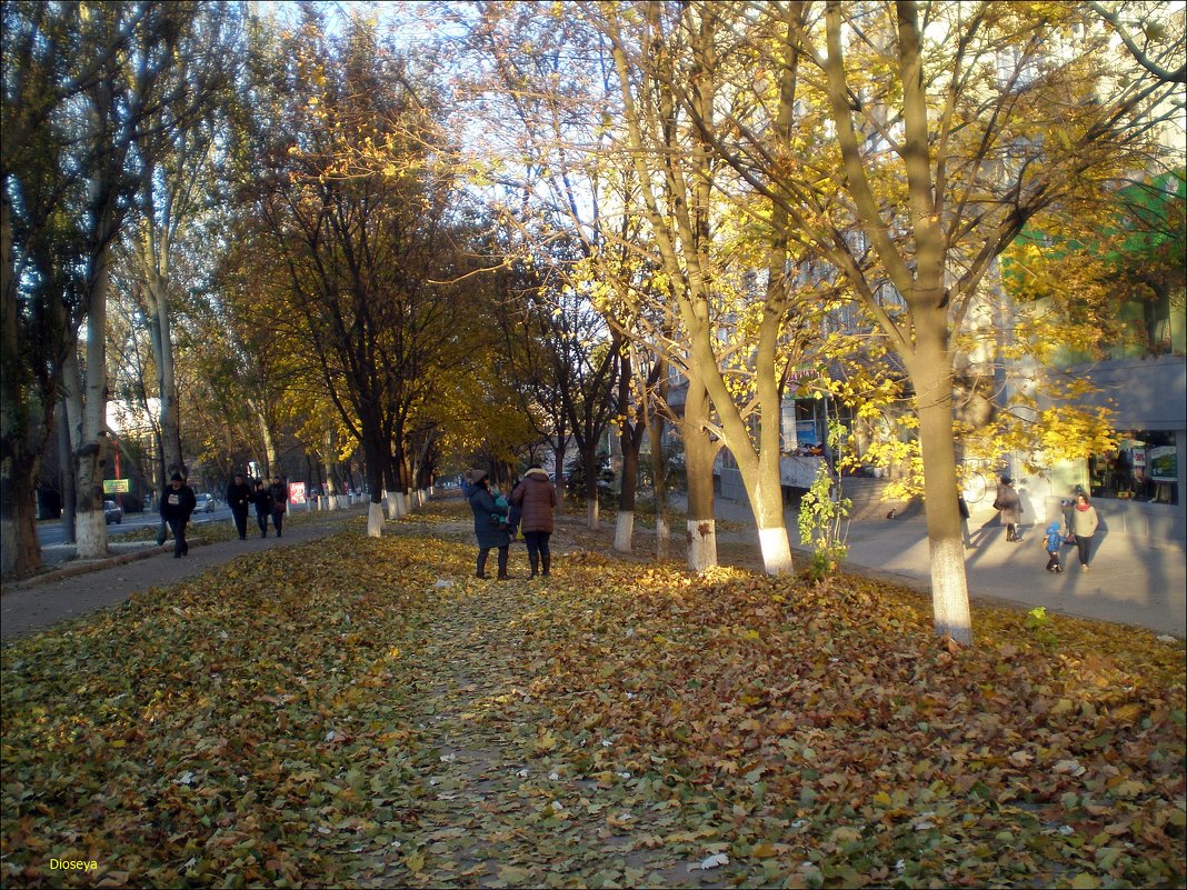 Осень - Татьяна Пальчикова