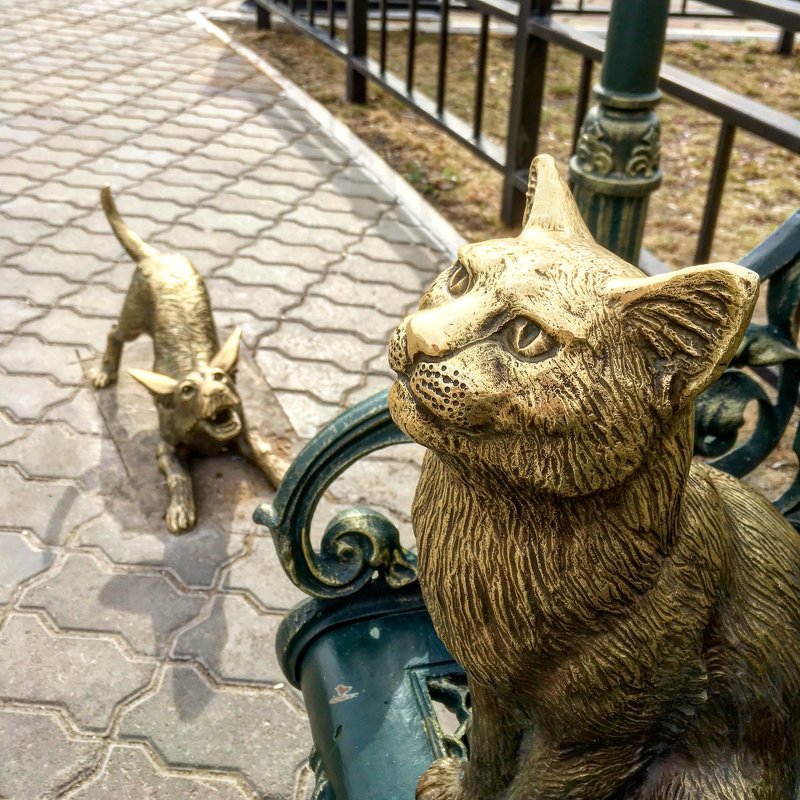 Памятник "Невозмутимый кот" в г. Благовещенске. - Константин Поляков