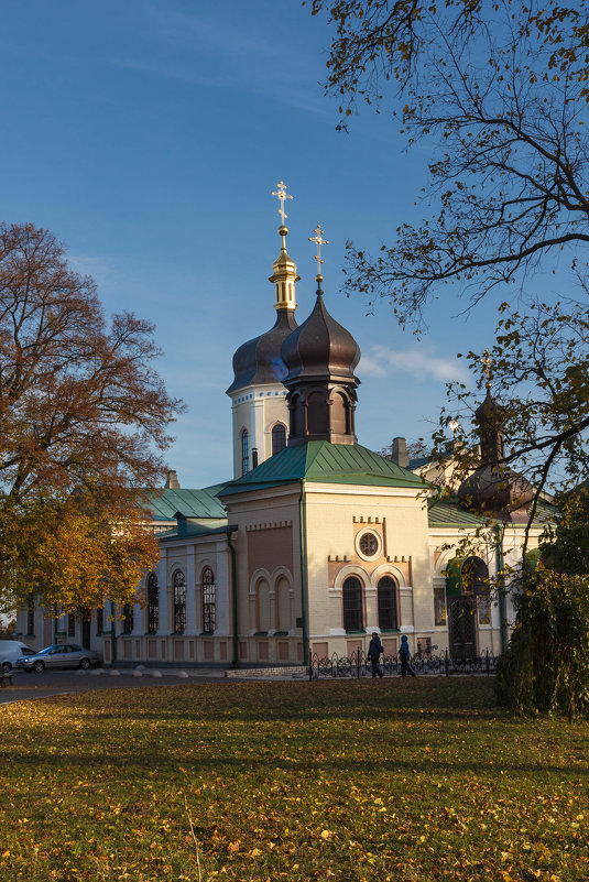 Свято-Троицкий Ионинский монастырь - Андрей Нибылица