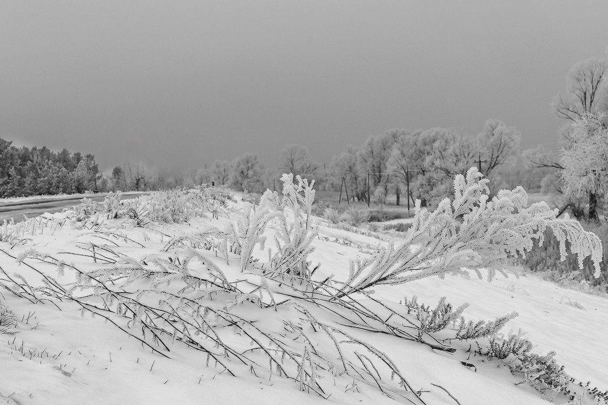Зима в ноябре - Оксана Лада